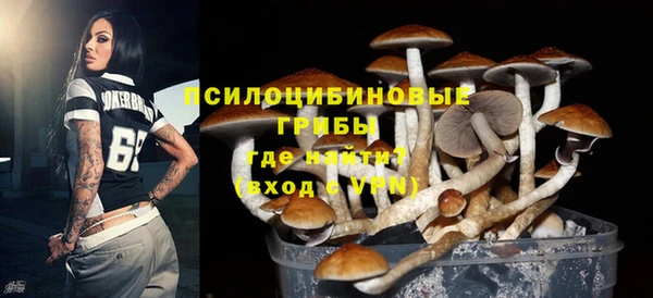 apvp Новокубанск
