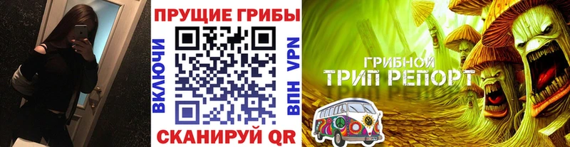 omg рабочий сайт  сколько стоит  Истра  Псилоцибиновые грибы MAGIC MUSHROOMS 