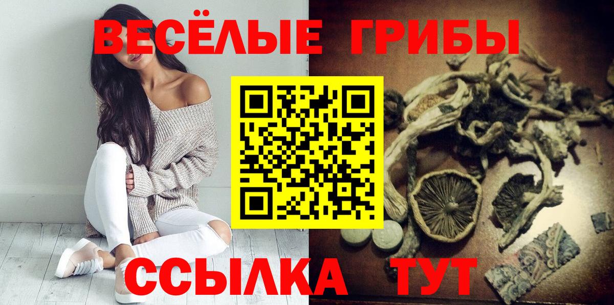 Галлюциногенные грибы Cubensis  Вход с VPN  Истра 